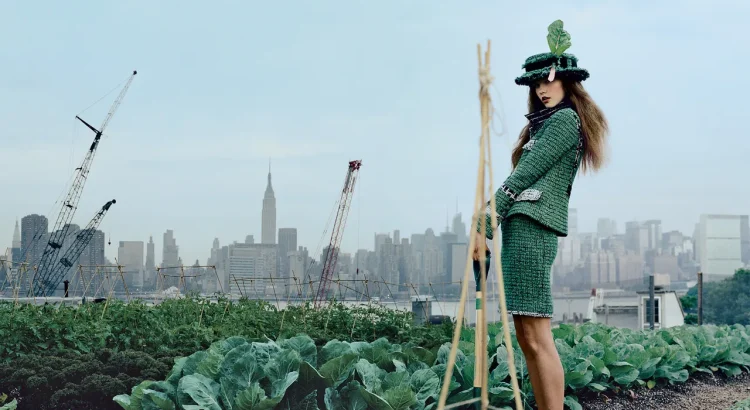 Eco-Friendly Fashion