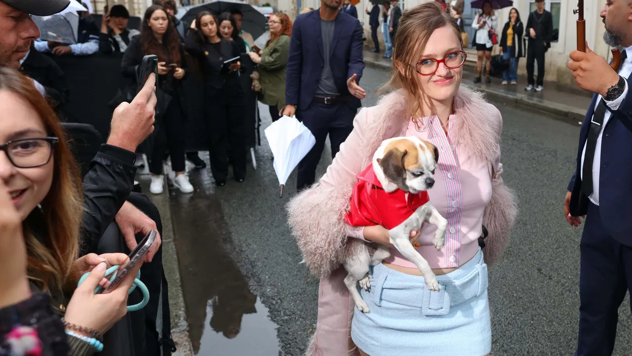 The Dogs of Street Style